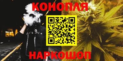 шишки Канаш